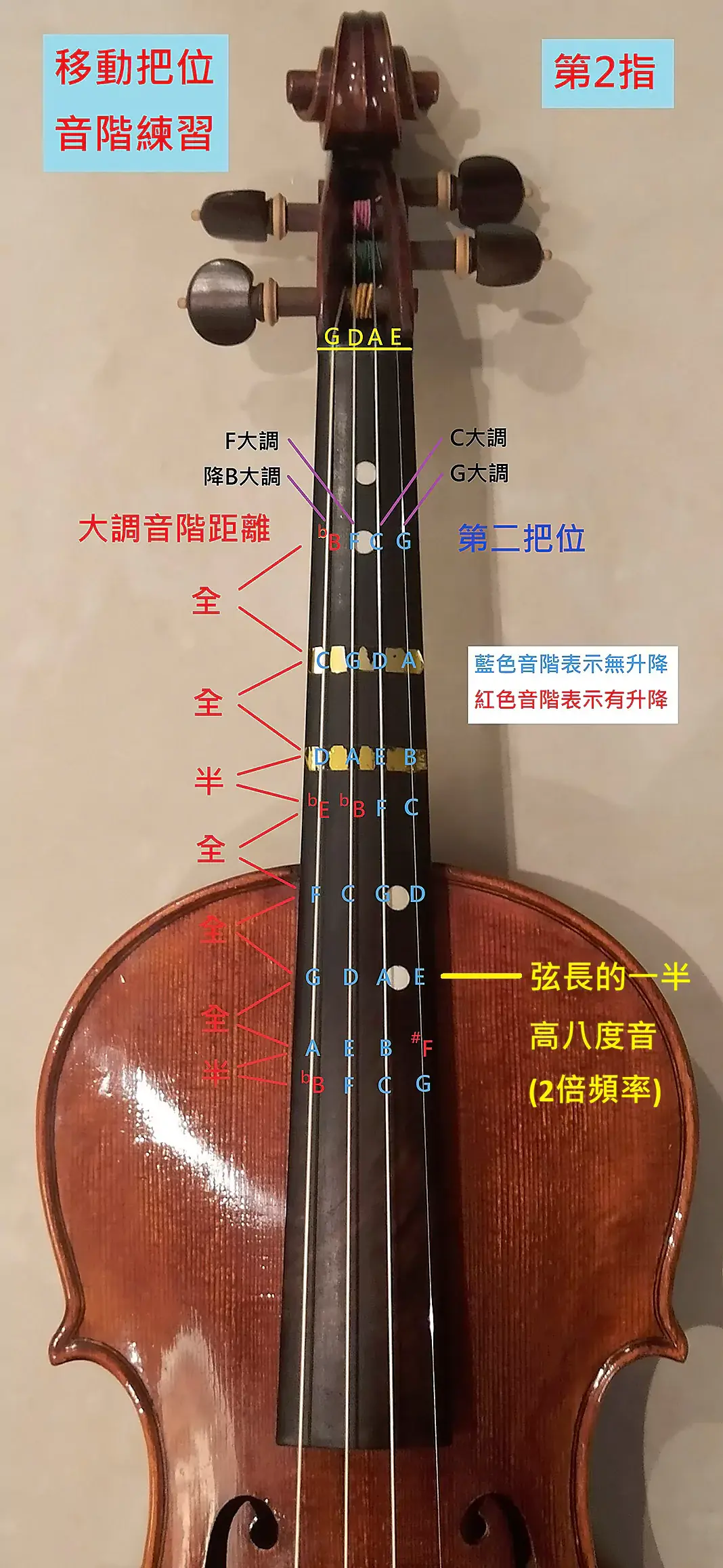 移動把位音階第2指_弦長說明.webp