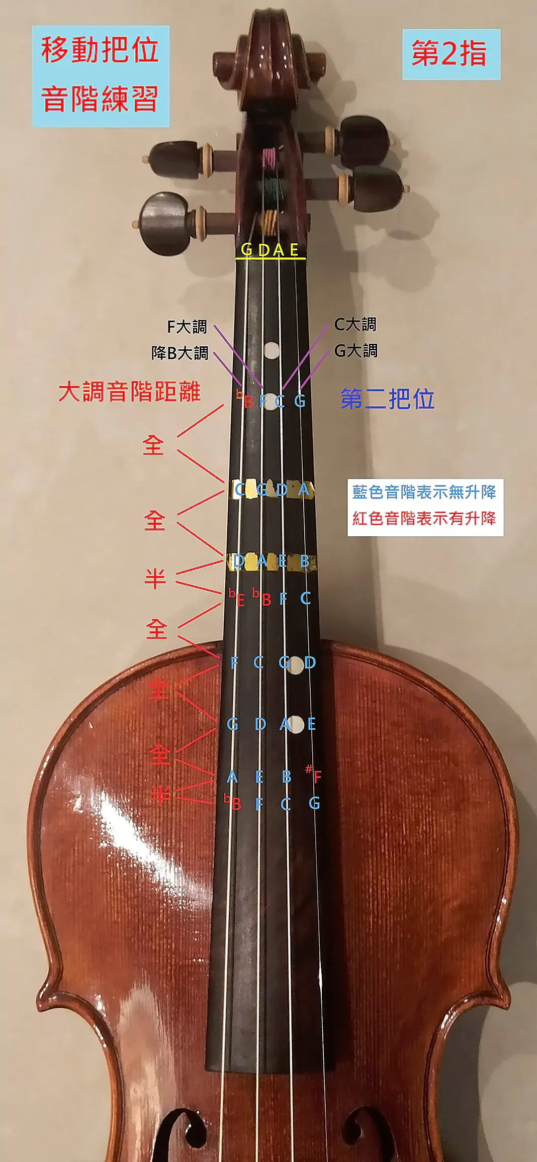移動把位音階第2指.webp