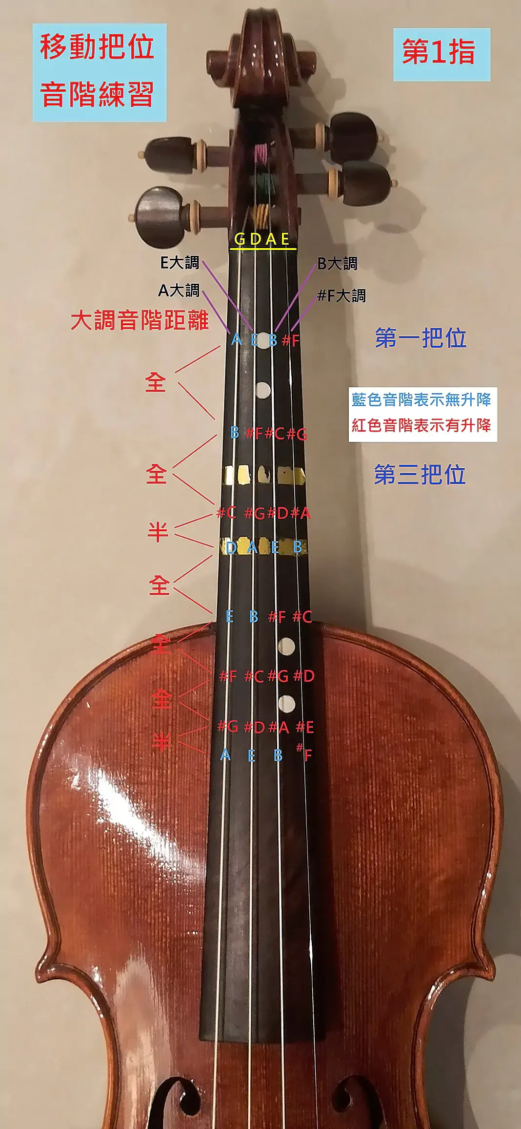 把位音階第1指.webp
