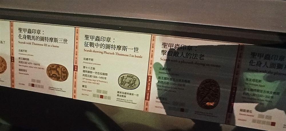 聖甲蟲印章說明牌:化身戰馬的圖特摩斯三世、征戰中的圖特摩斯一世(EA17774)等。