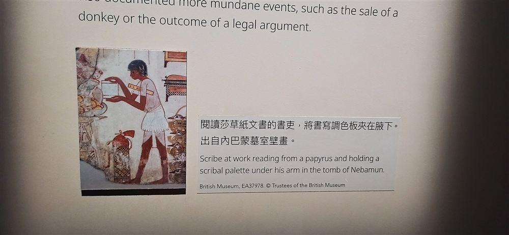 展牆解說:內巴蒙墓室壁畫中閱讀莎草紙的書吏(EA37978)。