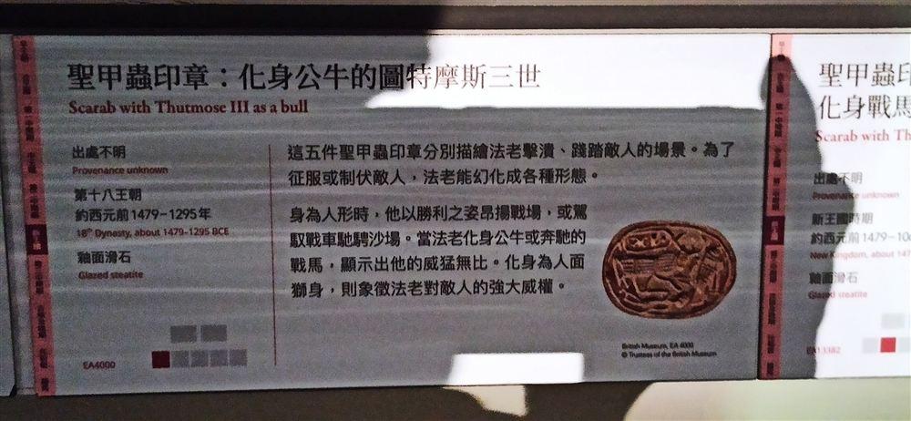 說明牌:化身公牛的圖特摩斯三世聖甲蟲印章(EA4000)。