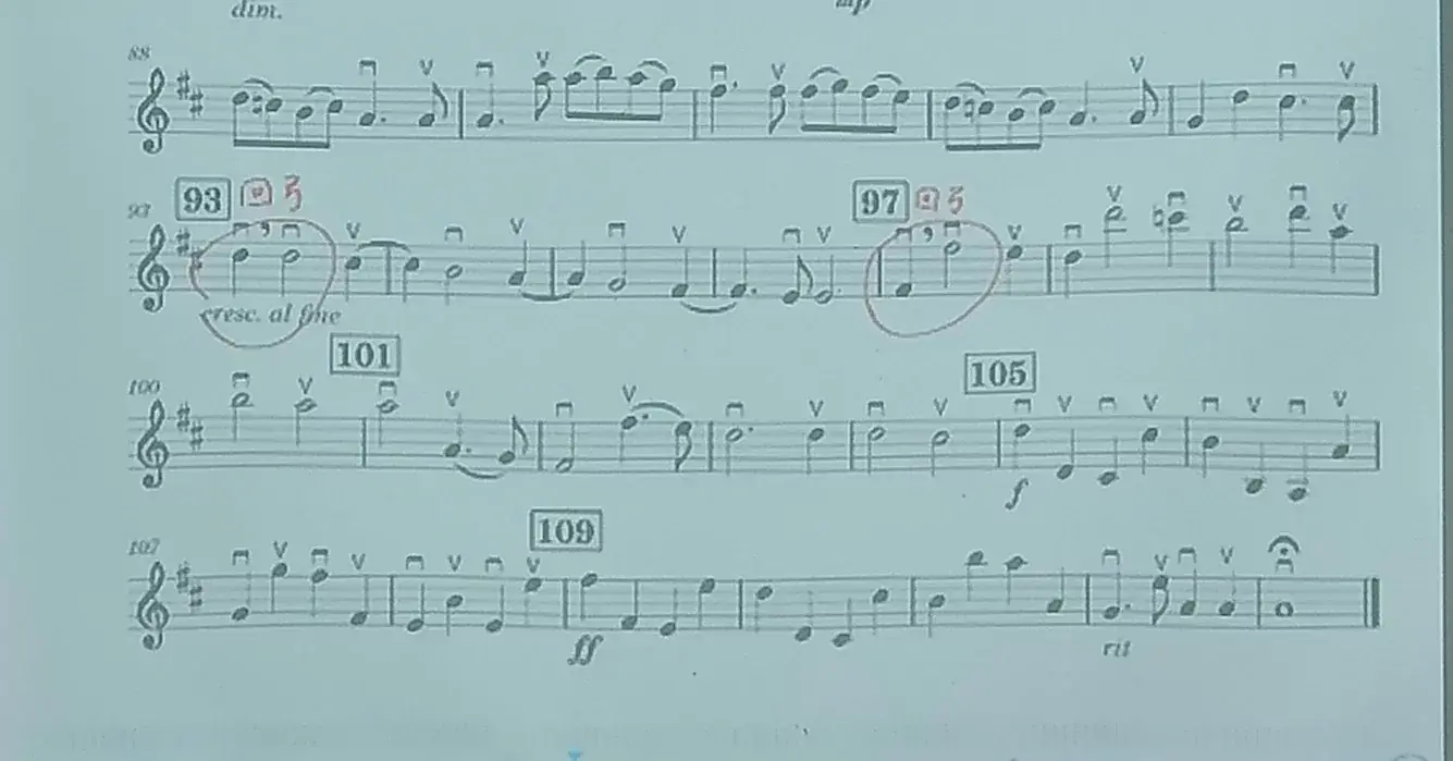 IMG_20260924_14_卡農曲回弓樂譜參考.webp